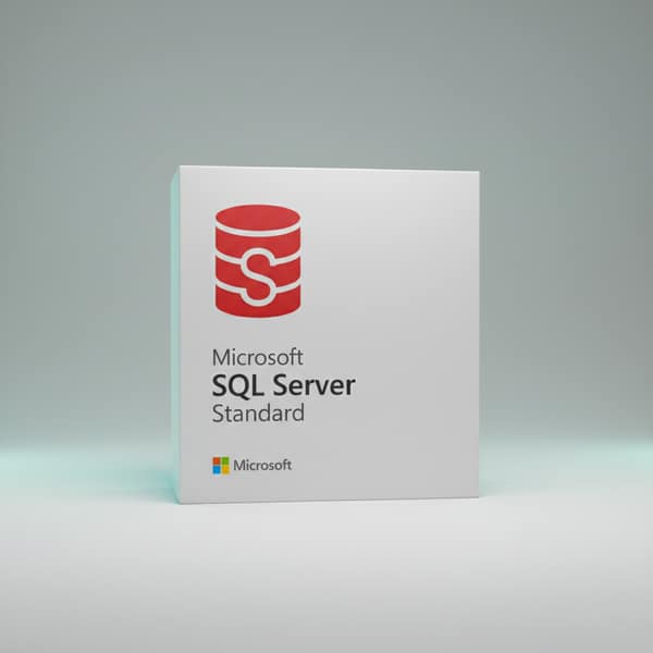 Windows SQL Server Standard 1 PC